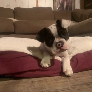 Meet your Posher, Marshall